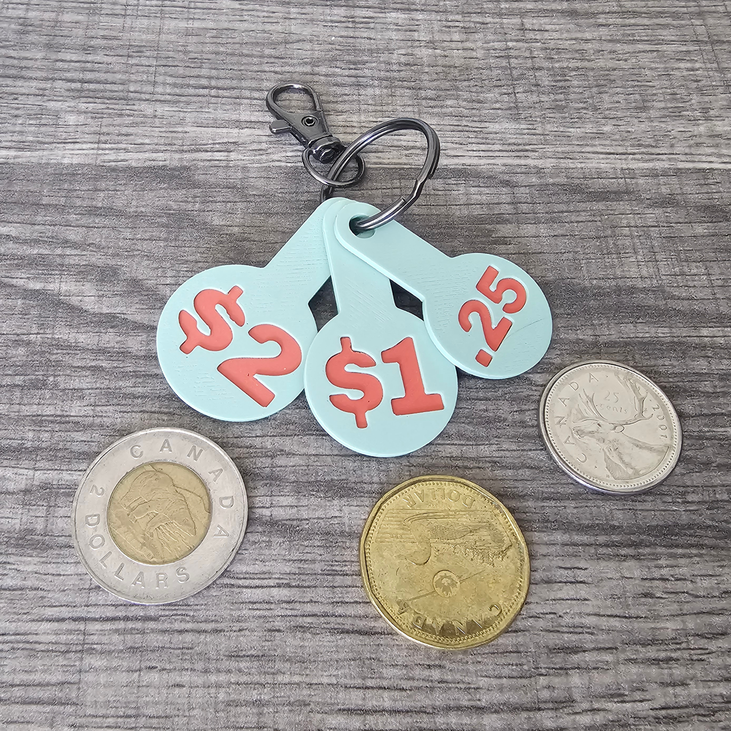 Never Forget a Coin! 3D Printed Canadian Cart Coins Keychain - Loonie/Toonie/Quarter Grocery Trolley Token - Unique Gift for Canadians