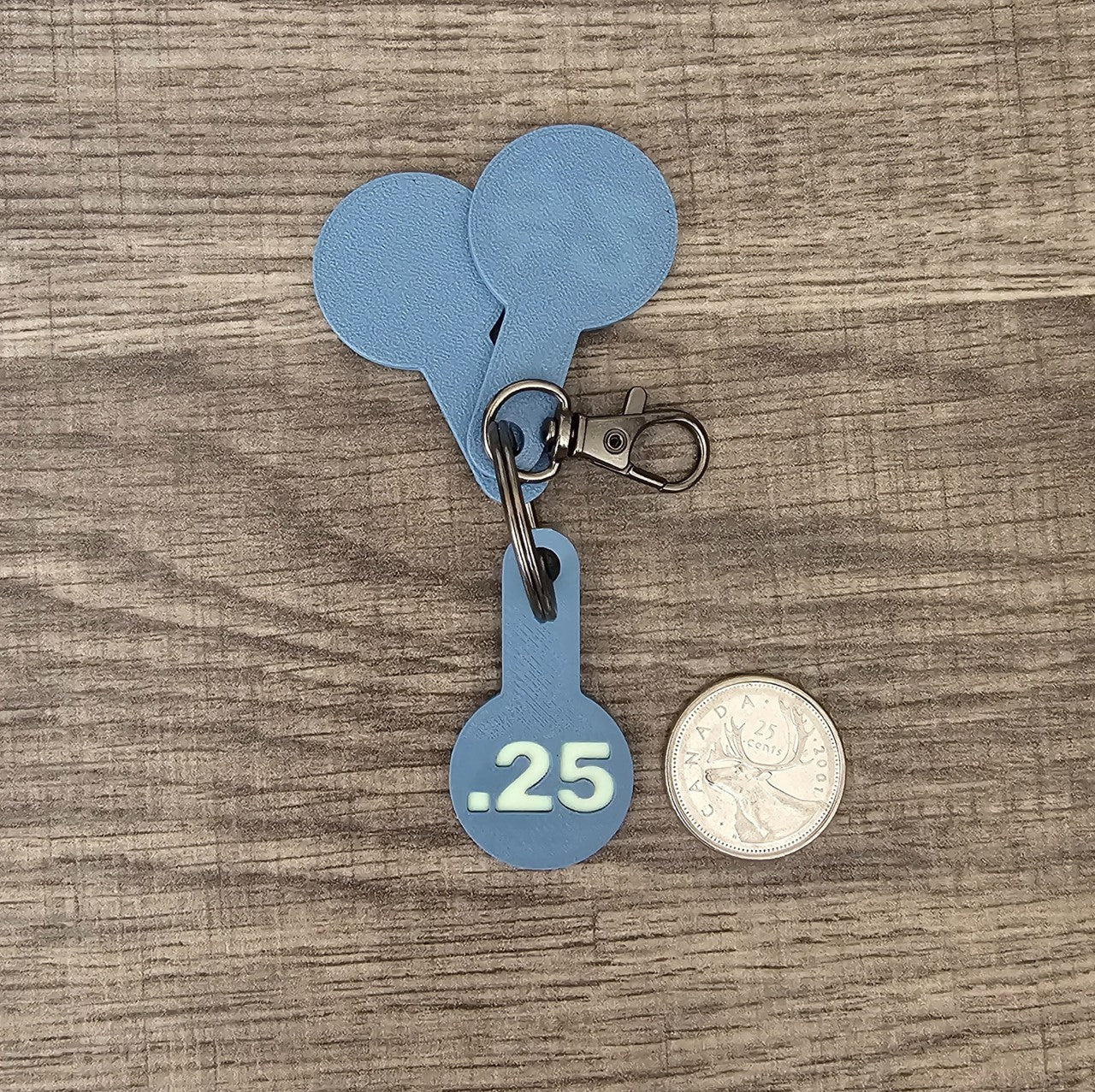 Never Forget a Coin! 3D Printed Canadian Cart Coins Keychain - Loonie/Toonie/Quarter Grocery Trolley Token - Unique Gift for Canadians